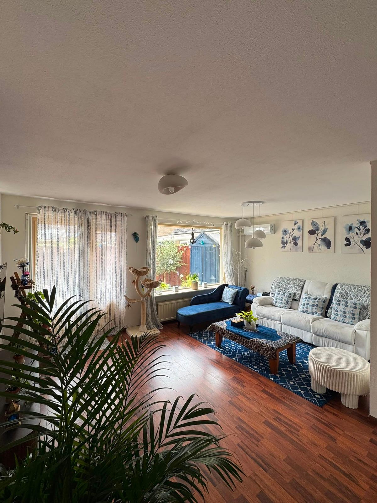 Styled blue living room with white sofa, navy chaise, and geometric rug